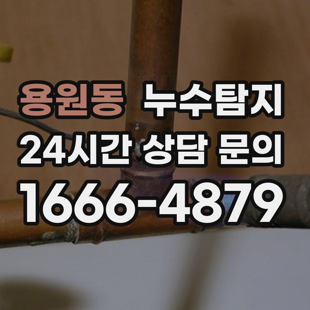 용원동 누수탐지 결로일까 누수일까 구분 가이드