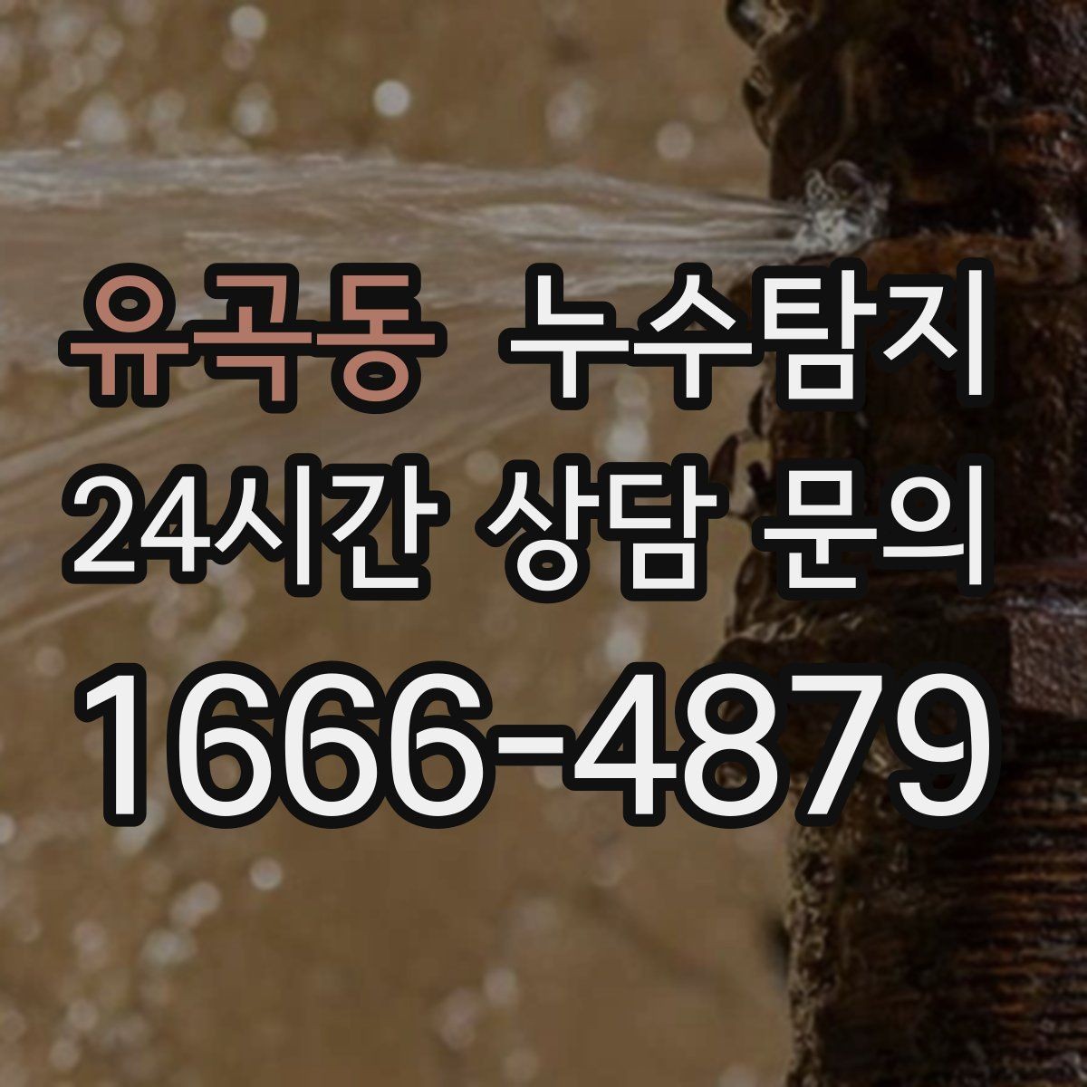 유곡동 누수탐지 주말 공휴일 진단 운영