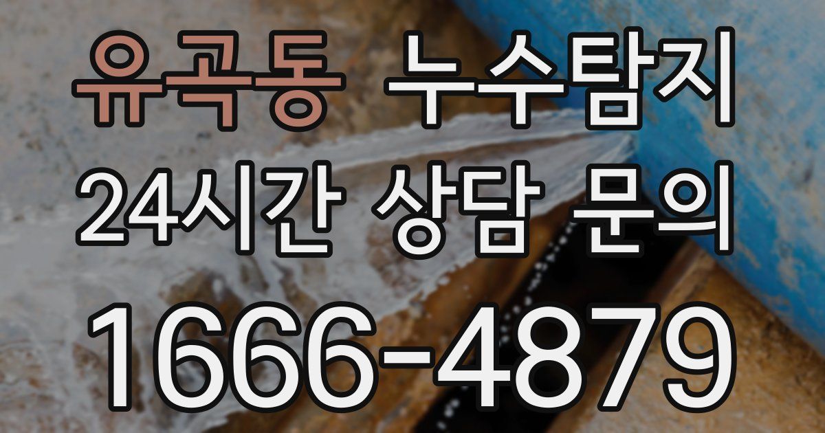 하수구막힘
