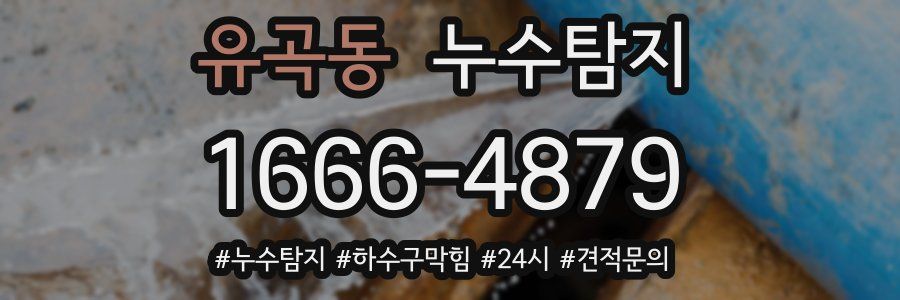 누수닥터 누수탐지