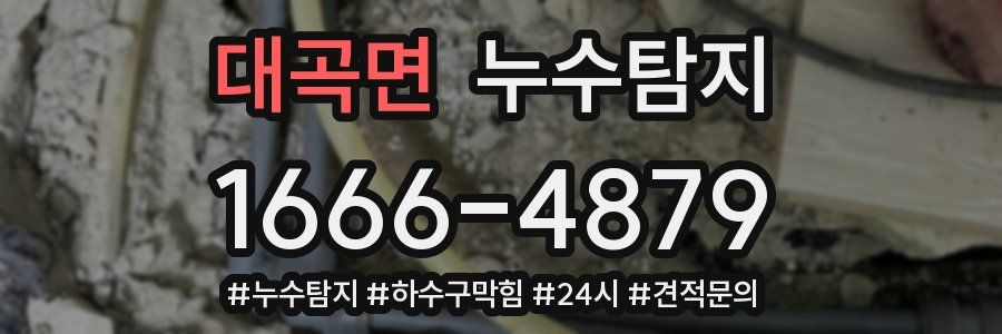 누수닥터 누수탐지