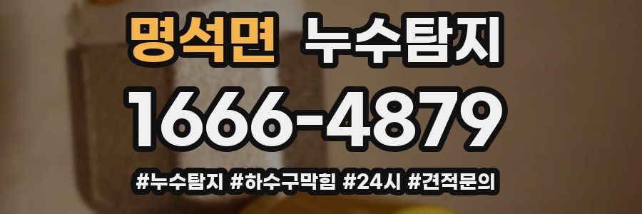 누수닥터 누수탐지