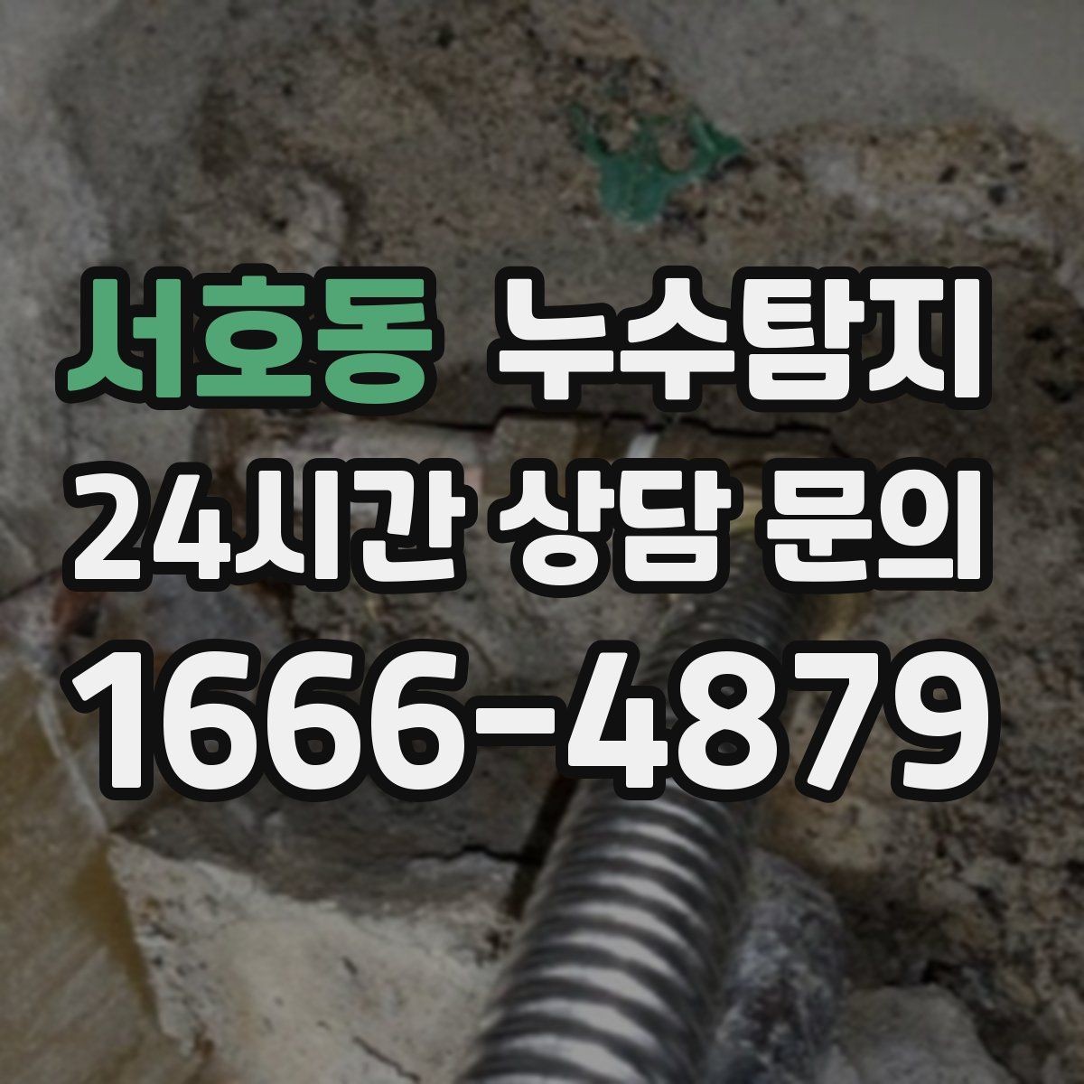 서호동 누수탐지 청소보다 중요한 근본 해결기