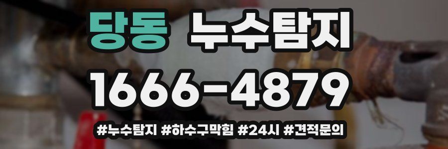 누수닥터 누수탐지