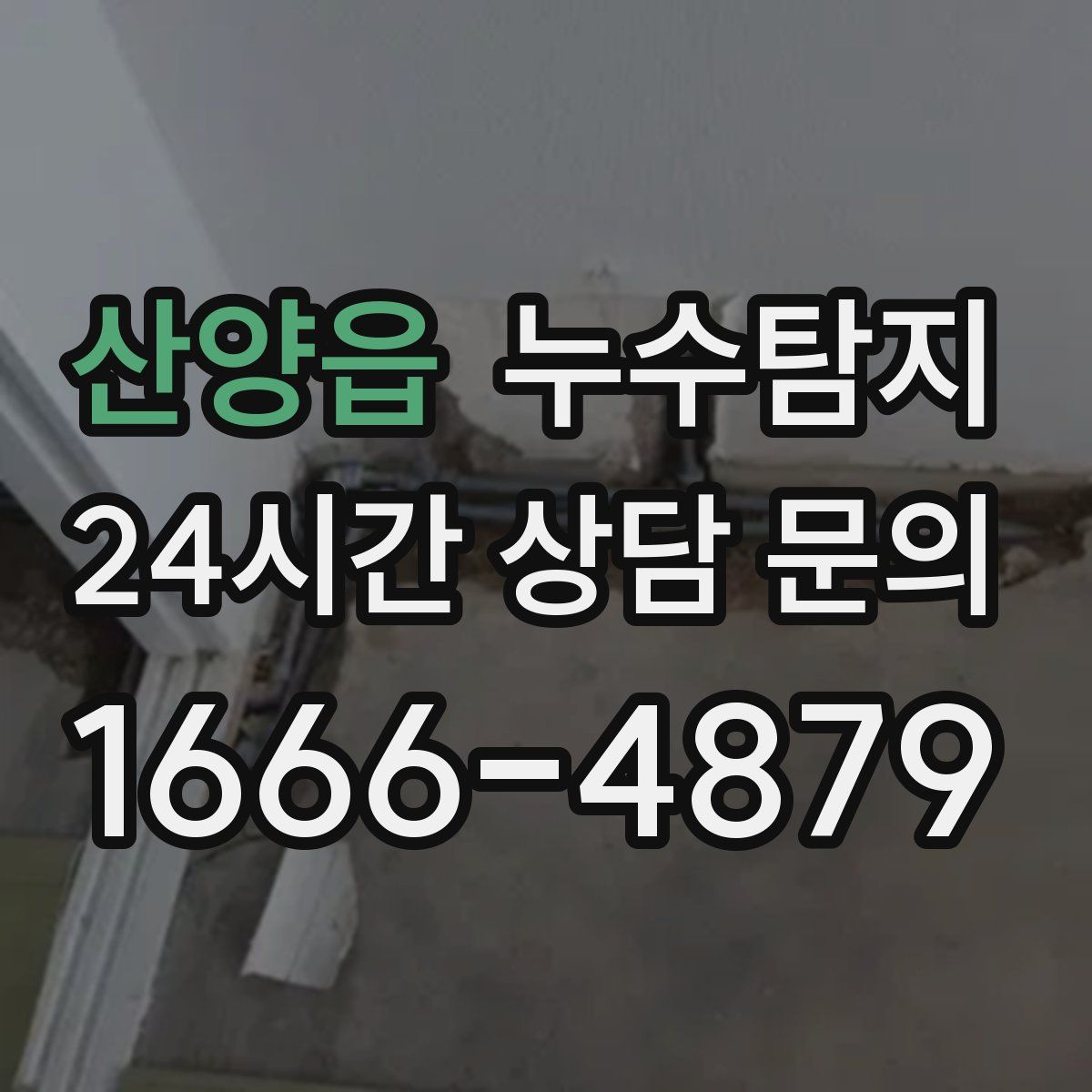 누수탐지