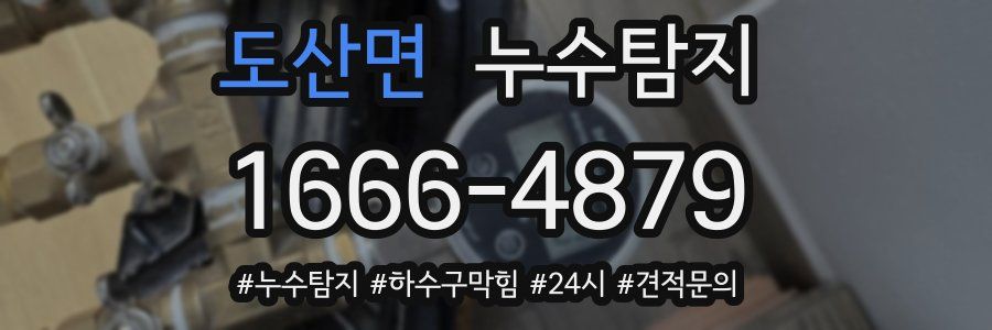 누수닥터 누수탐지