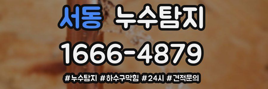누수닥터 누수탐지