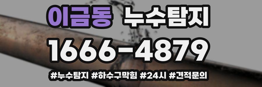 누수닥터 누수탐지