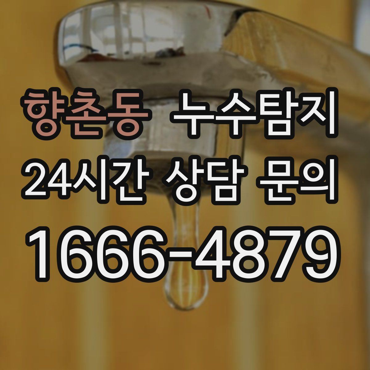 향촌동 누수탐지 학교와 병원 등 공공시설 점검기