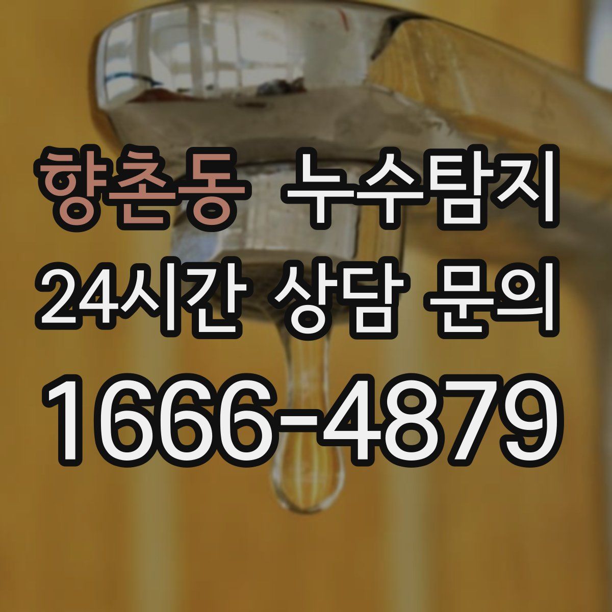 누수탐지