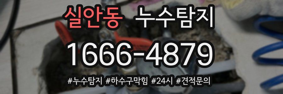 누수닥터 누수탐지