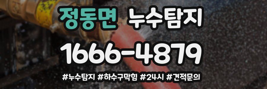 누수닥터 누수탐지
