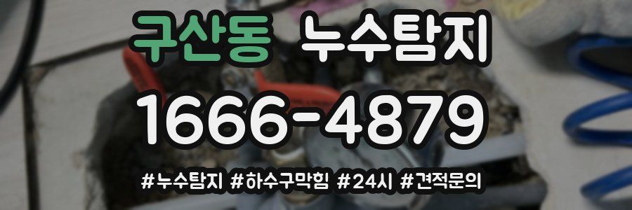 누수닥터 누수탐지