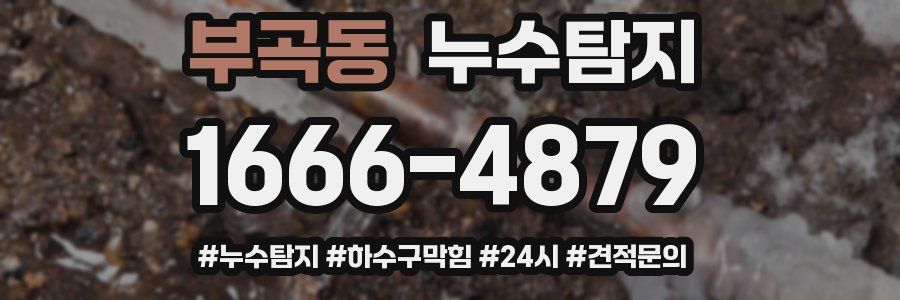 누수닥터 누수탐지