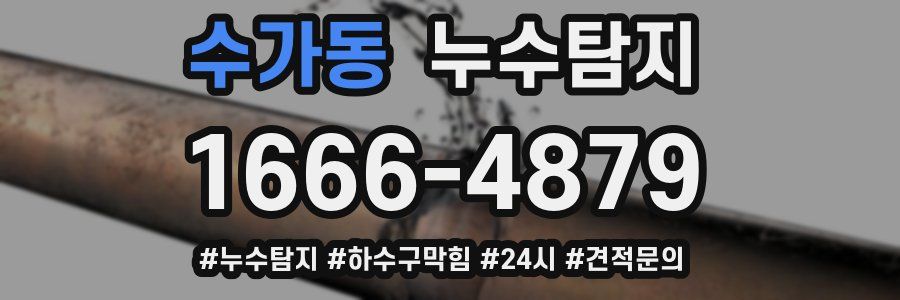 누수닥터 누수탐지