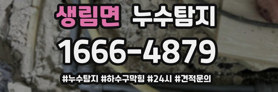 누수닥터 누수탐지