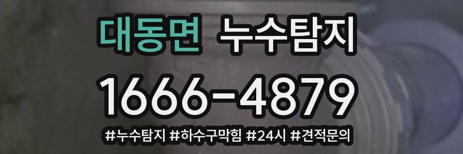 누수닥터 누수탐지