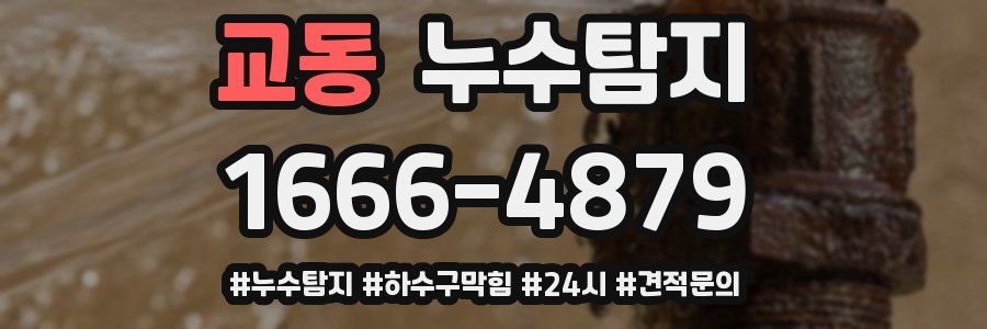 누수닥터 누수탐지
