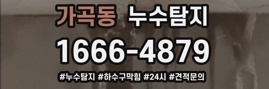 누수닥터 누수탐지