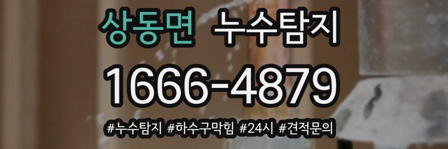 누수닥터 누수탐지