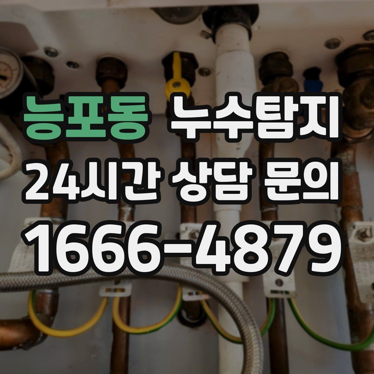 능포동 누수탐지 옥상 지붕 누수 점검