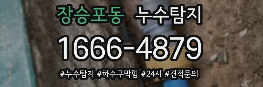 누수닥터 누수탐지