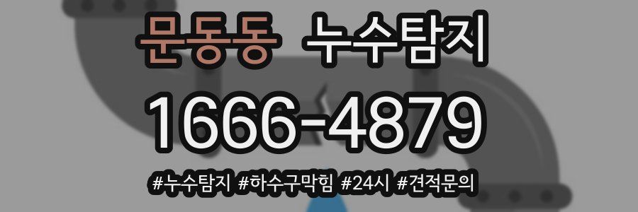 누수닥터 누수탐지