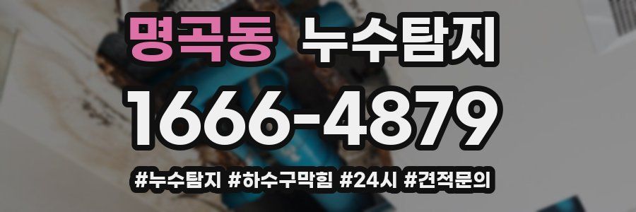 누수닥터 누수탐지