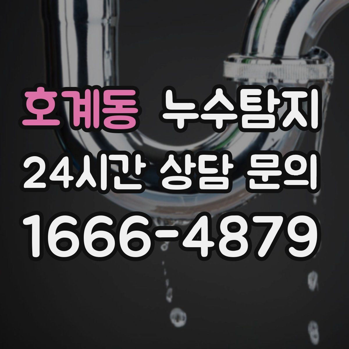 호계동 누수탐지 지역별 방문 가능 구역과 예약 팁