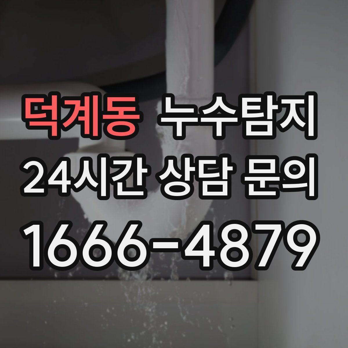 덕계동 누수탐지 드레스룸 곰팡이 없앤 하루