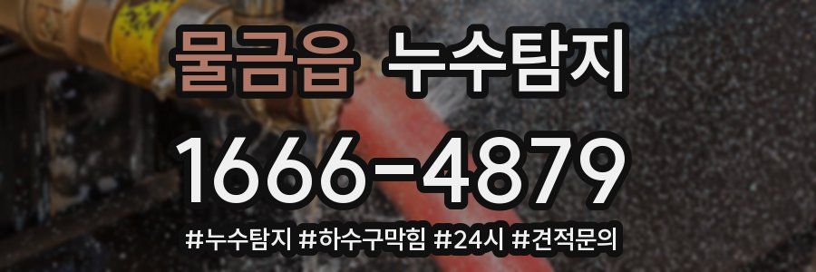 누수닥터 누수탐지