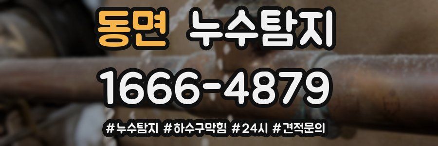 누수닥터 누수탐지