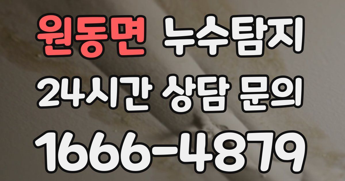 하수구막힘