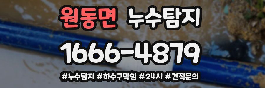 누수닥터 누수탐지