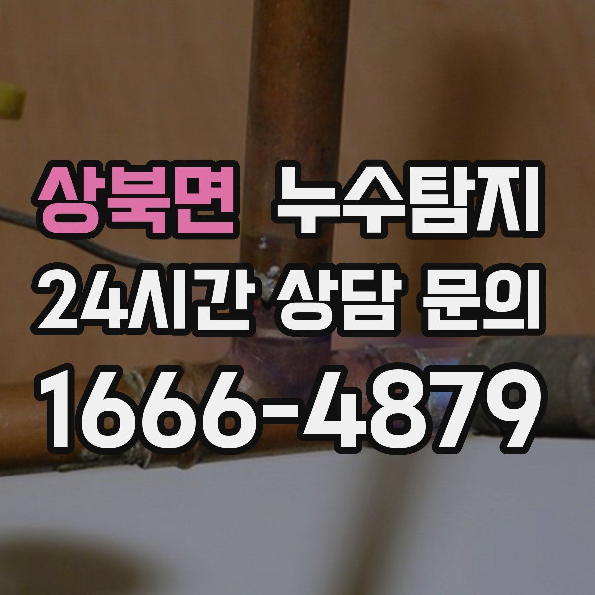 누수탐지