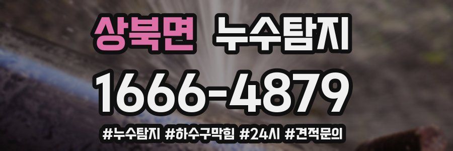 누수닥터 누수탐지