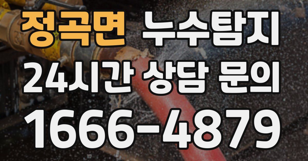 하수구막힘