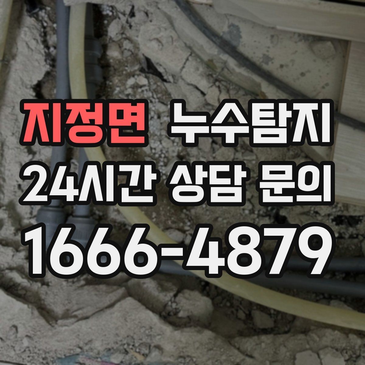 지정면 누수탐지 빠른 방문 당일 진단 가능