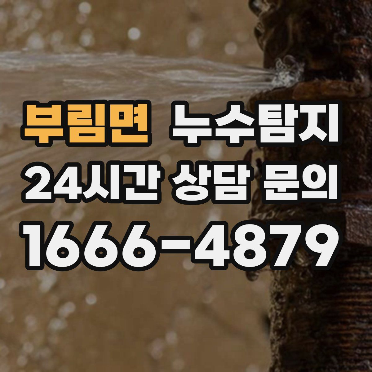 누수탐지