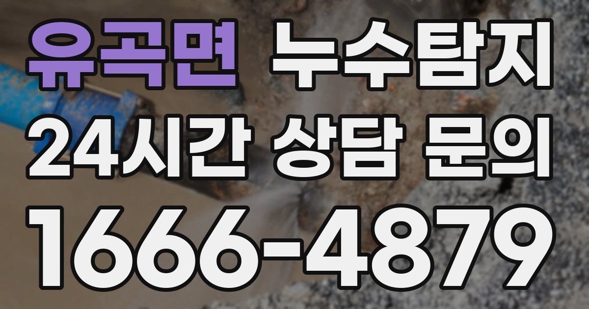 하수구막힘