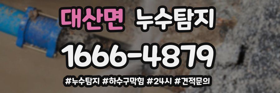 누수닥터 누수탐지