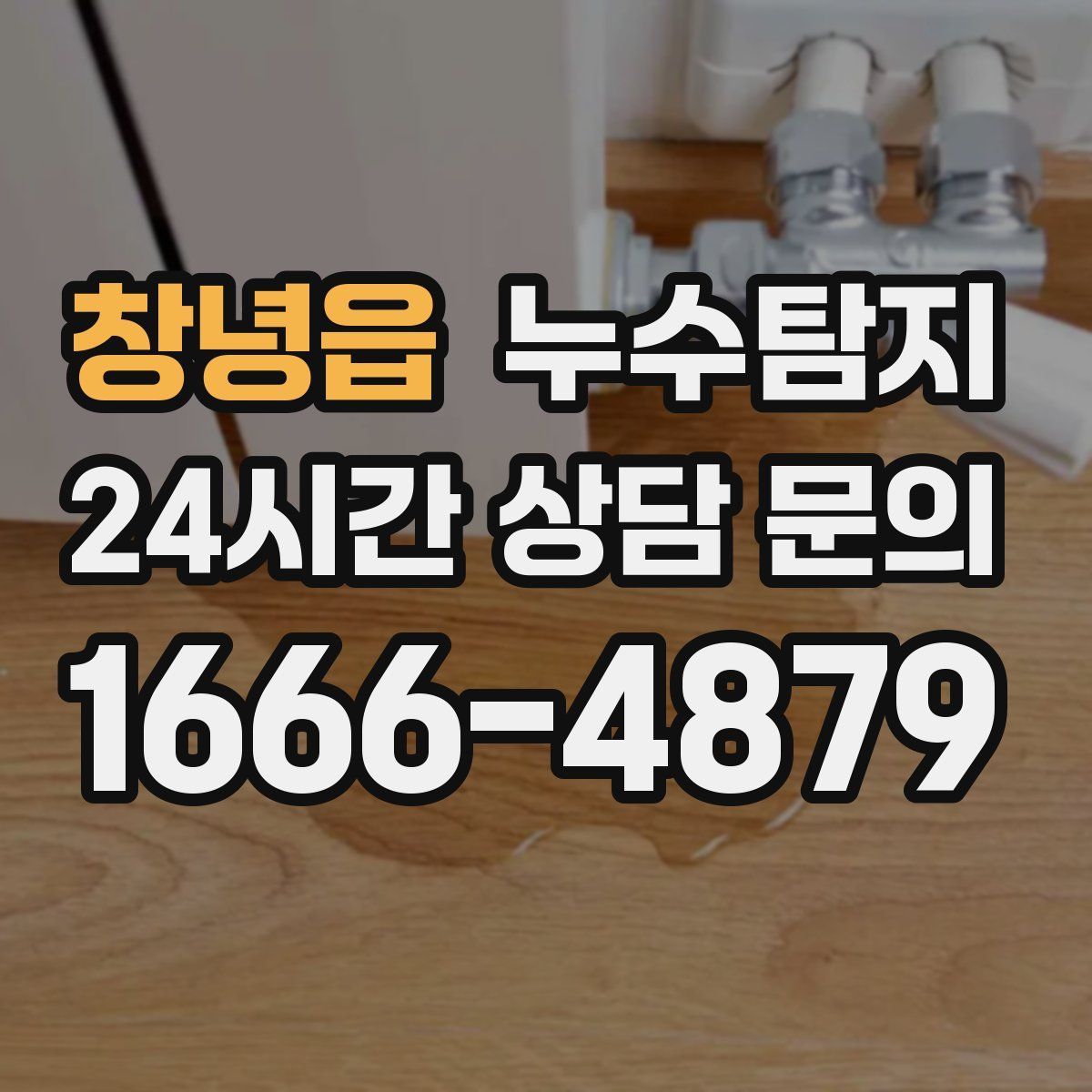누수탐지