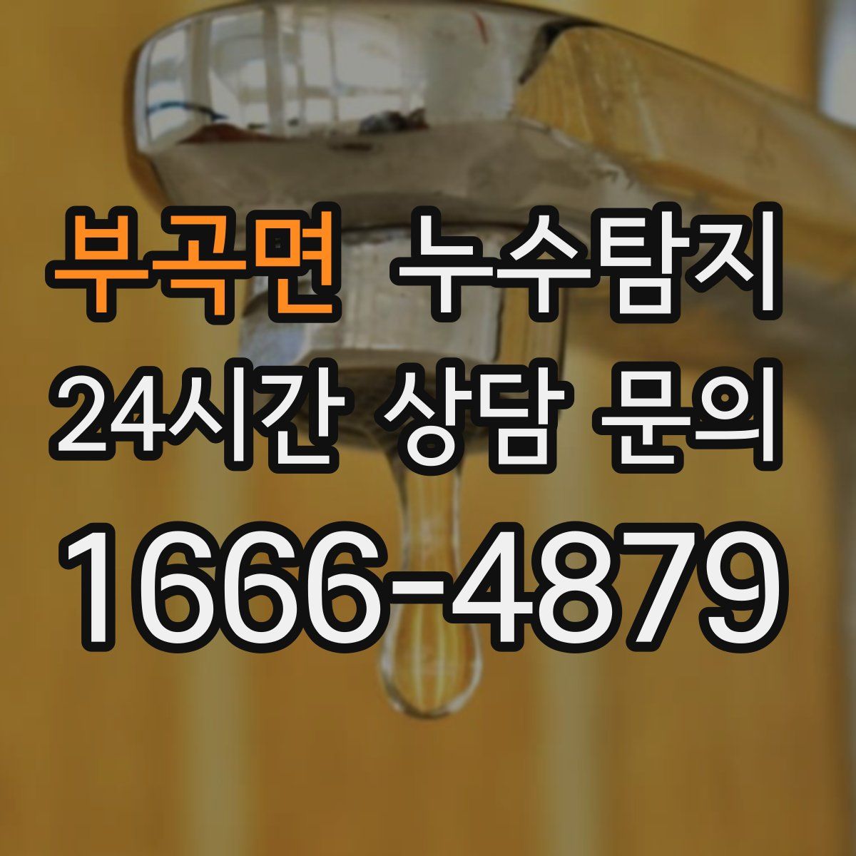 누수탐지