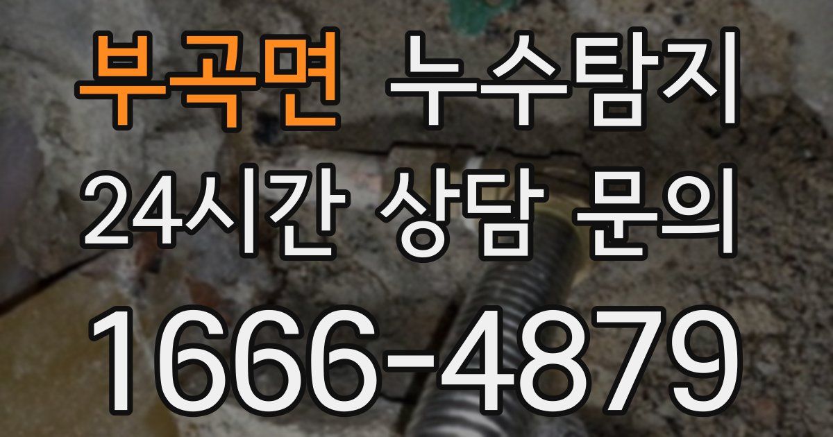 하수구막힘