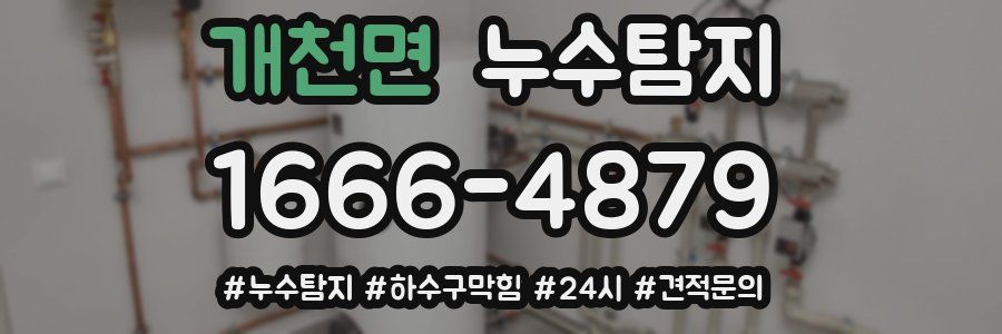 누수닥터 누수탐지