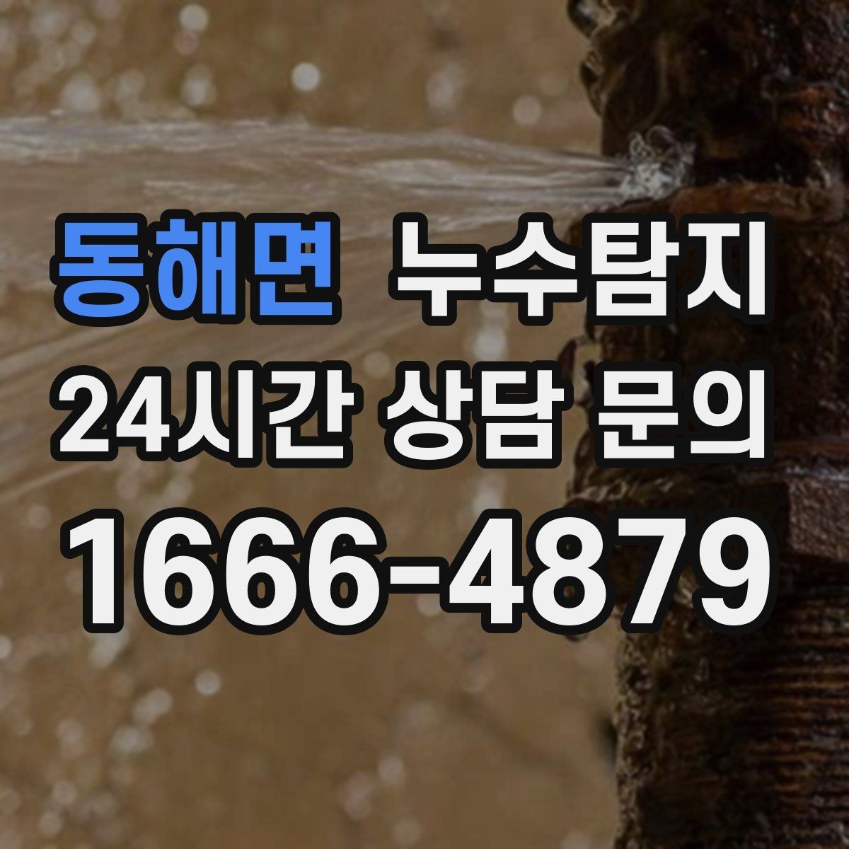 동해면 누수탐지 욕실 곰팡이 사라진 변화 이야기