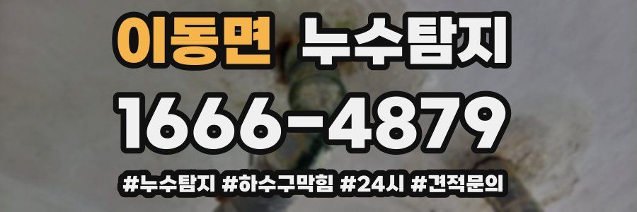 누수닥터 누수탐지