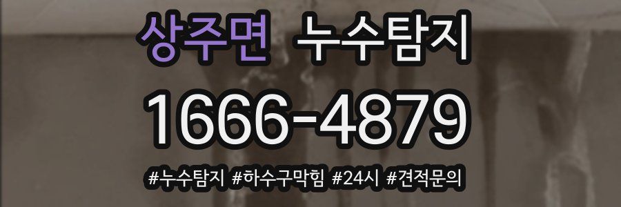 누수닥터 누수탐지