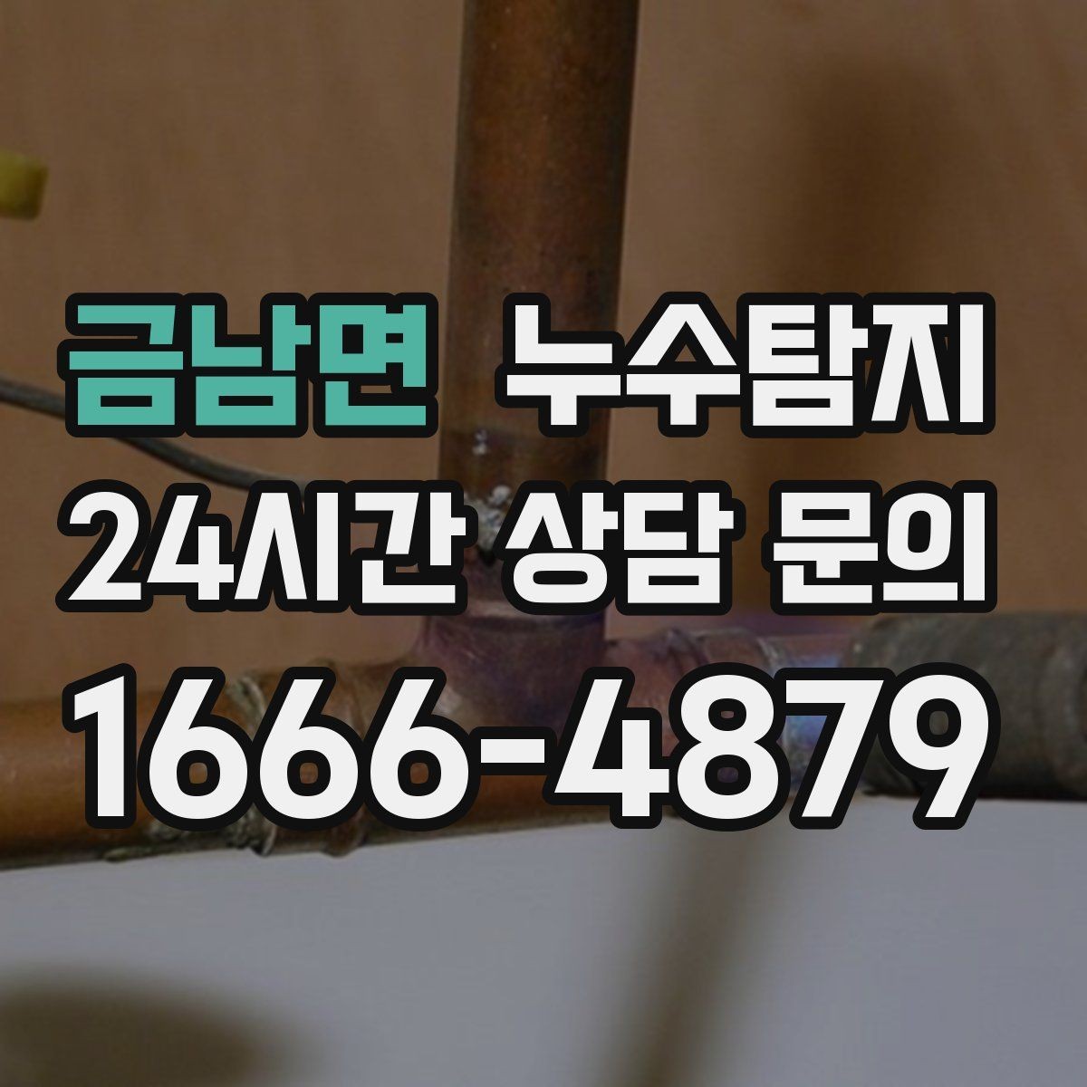 금남면 누수탐지 관리사무소와 협의한 과정 기록