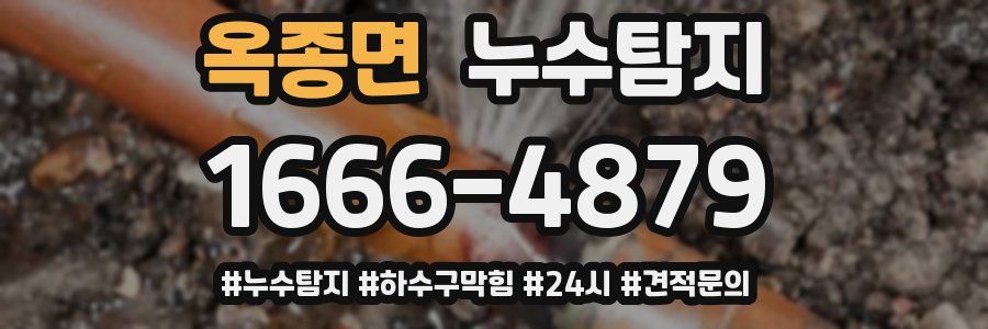 누수닥터 누수탐지